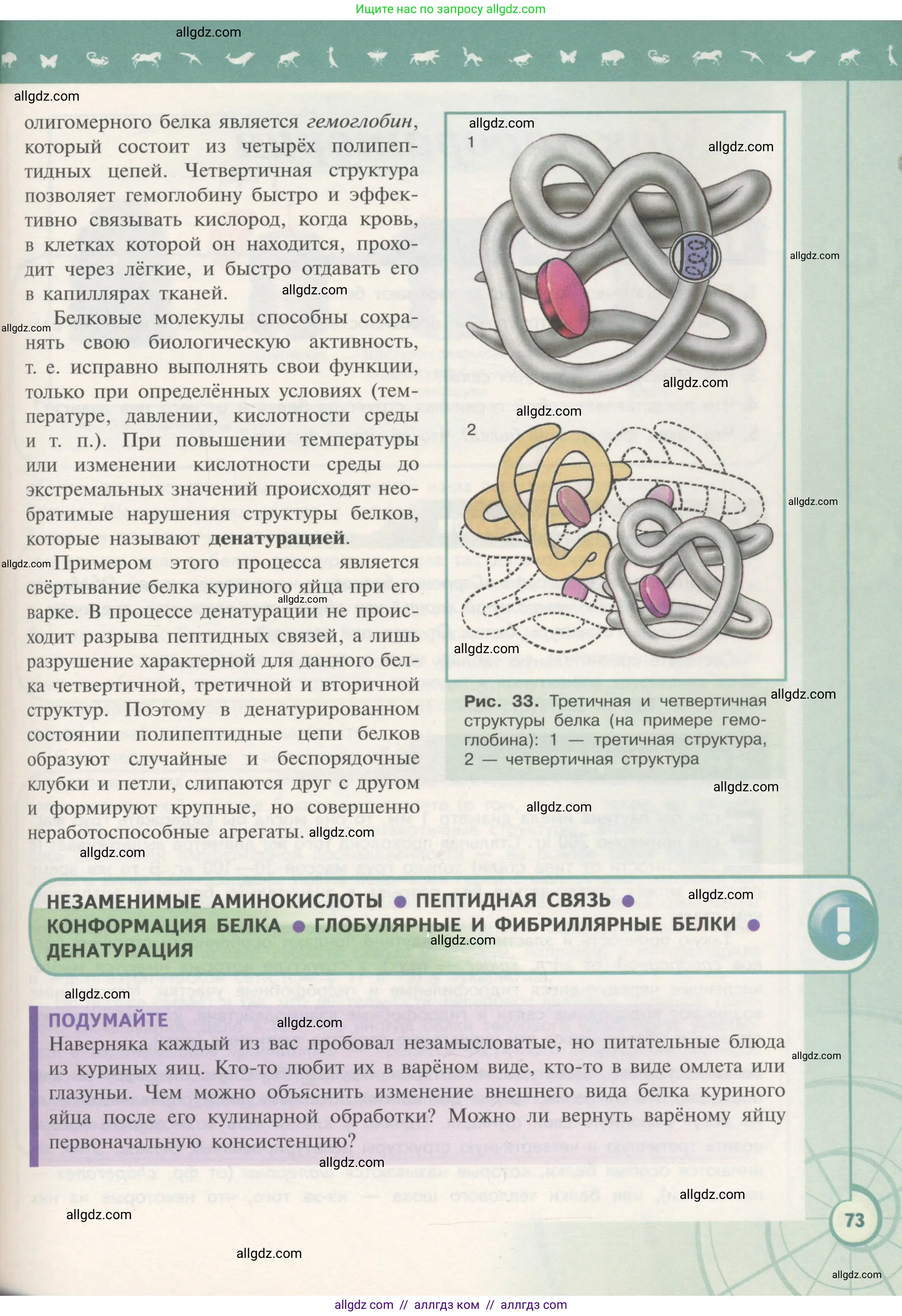 Биология, 10 класс Учебник, авторы: Пасечник Владимир Васильевич, Каменский Андрей Александрович, Рубцов Александр Михайлович, Швецов Глеб Геннадьевич, Гапонюк Зоя Георгиевна, издательство Просвещение, Москва, 2018, зелёного цвета, страница 73