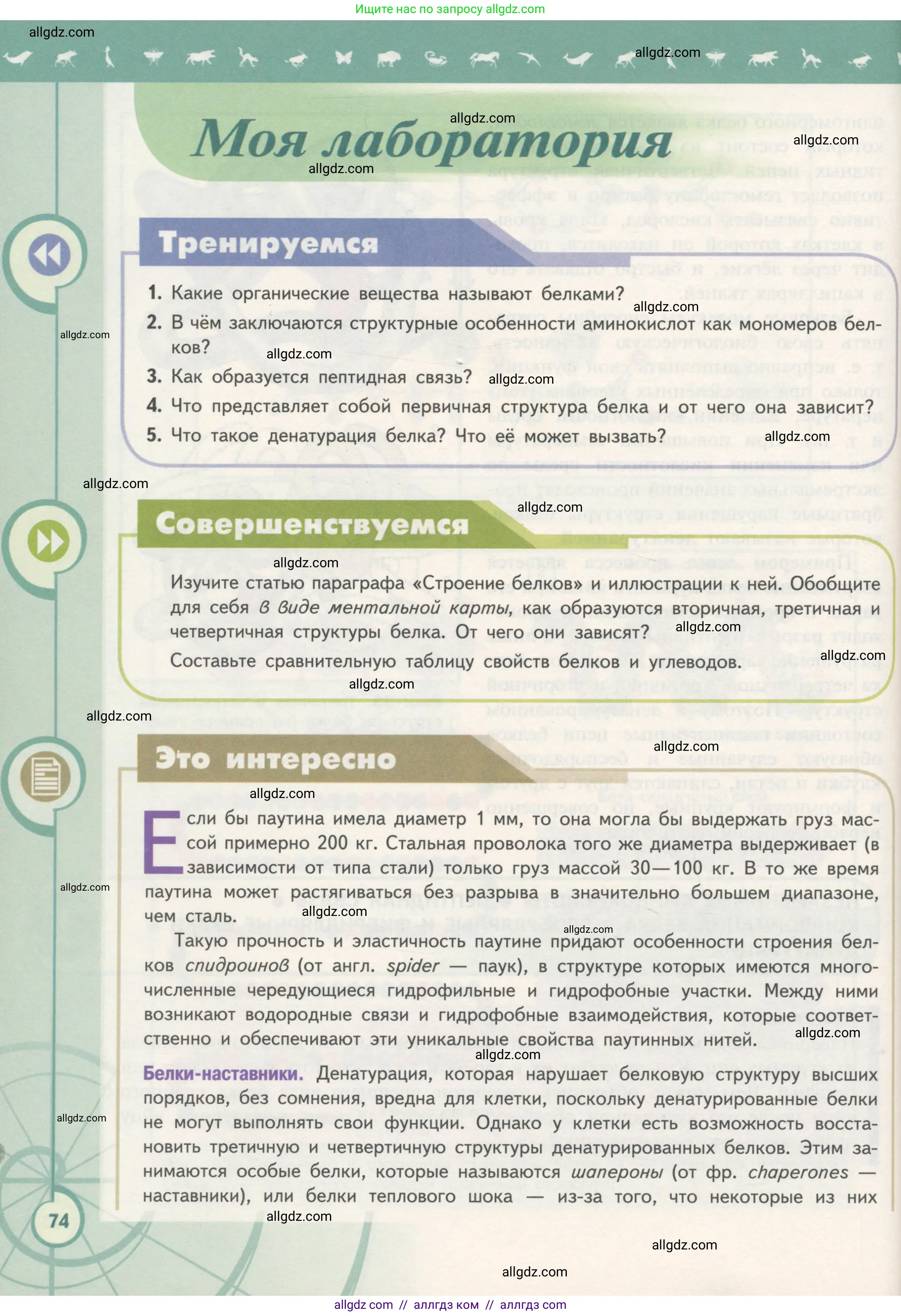 Биология, 10 класс Учебник, авторы: Пасечник Владимир Васильевич, Каменский Андрей Александрович, Рубцов Александр Михайлович, Швецов Глеб Геннадьевич, Гапонюк Зоя Георгиевна, издательство Просвещение, Москва, 2018, зелёного цвета, страница 74