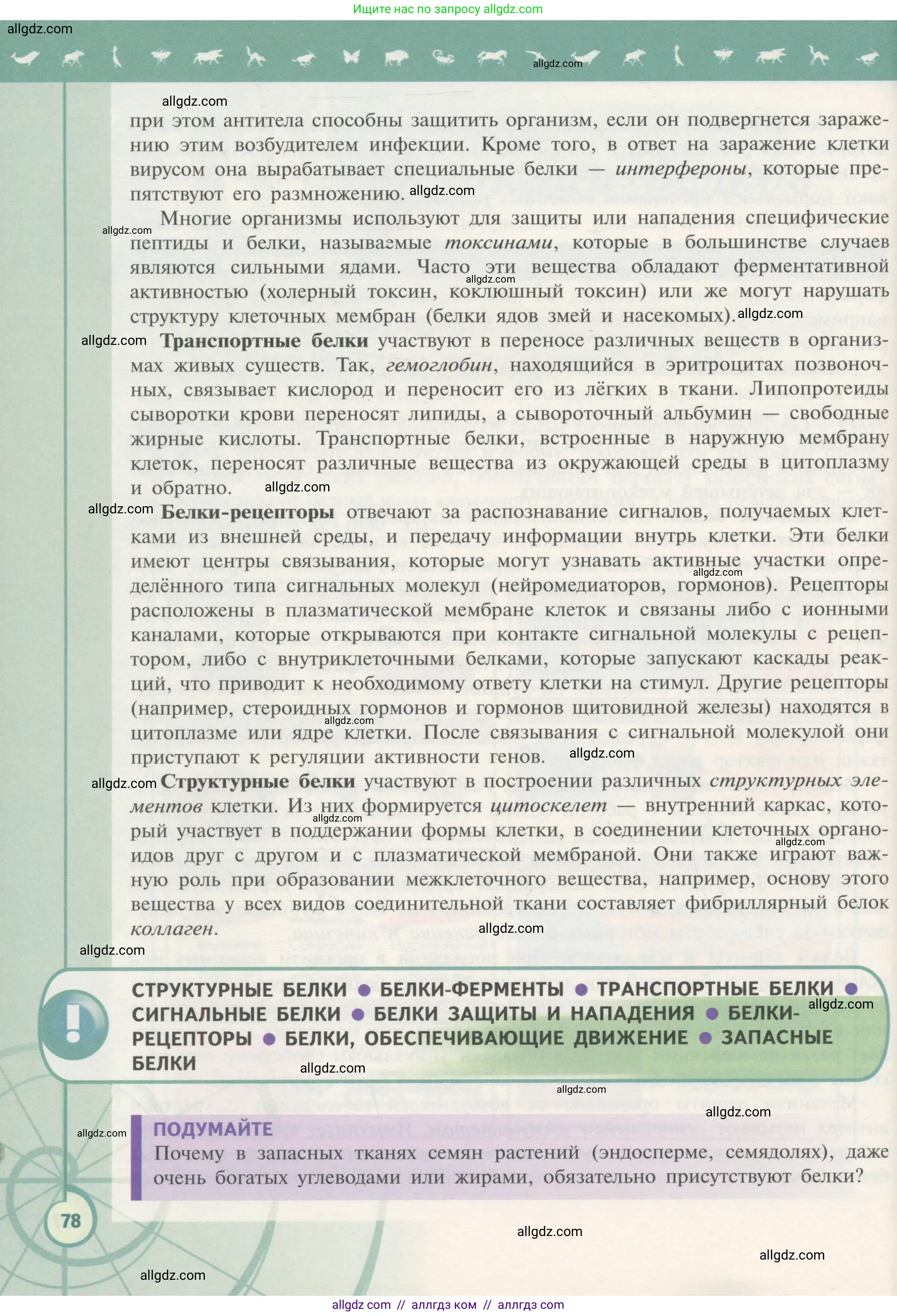 Биология, 10 класс Учебник, авторы: Пасечник Владимир Васильевич, Каменский Андрей Александрович, Рубцов Александр Михайлович, Швецов Глеб Геннадьевич, Гапонюк Зоя Георгиевна, издательство Просвещение, Москва, 2018, зелёного цвета, страница 78