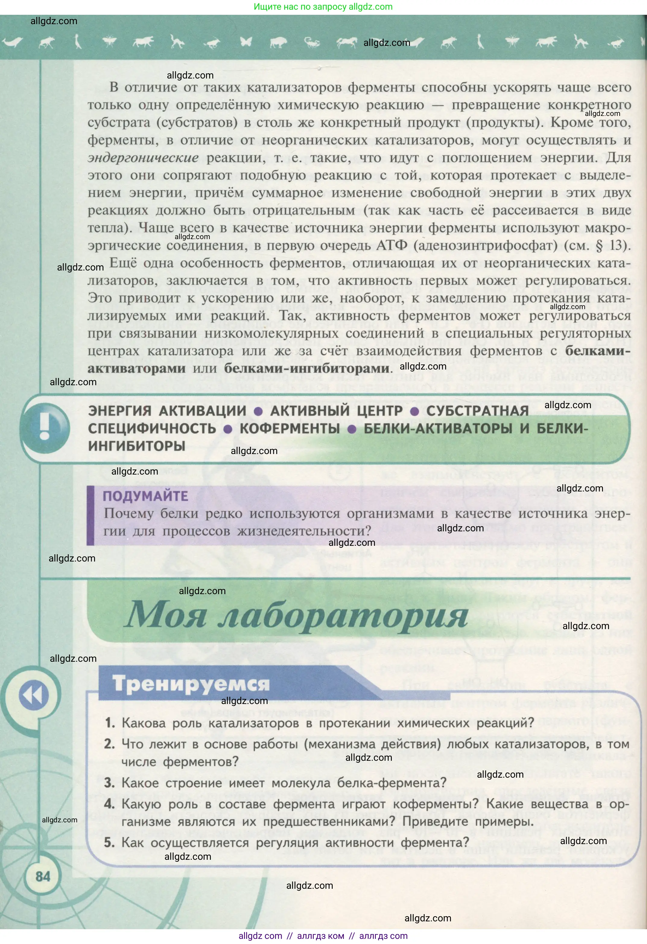 Биология, 10 класс Учебник, авторы: Пасечник Владимир Васильевич, Каменский Андрей Александрович, Рубцов Александр Михайлович, Швецов Глеб Геннадьевич, Гапонюк Зоя Георгиевна, издательство Просвещение, Москва, 2018, зелёного цвета, страница 84