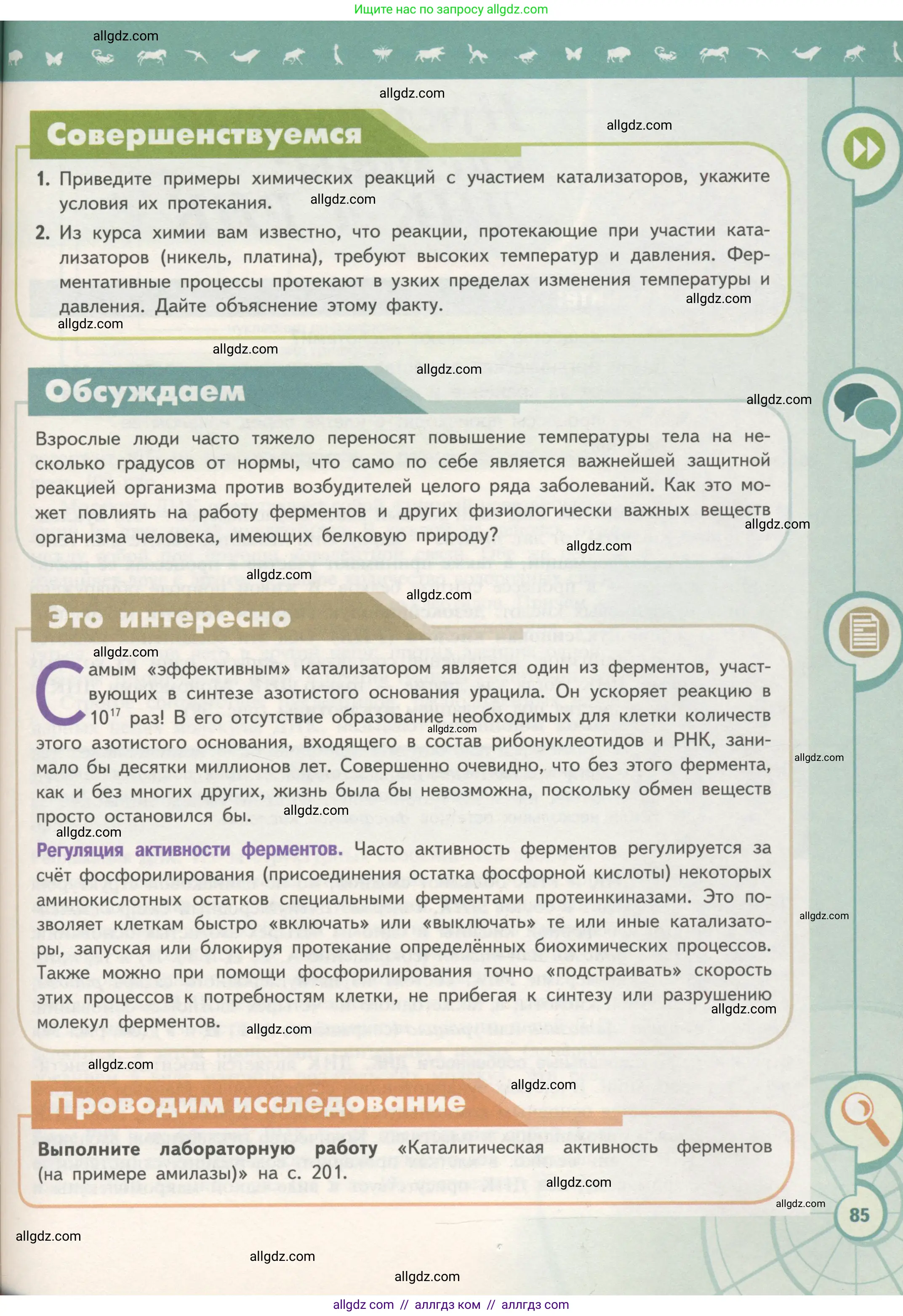 Биология, 10 класс Учебник, авторы: Пасечник Владимир Васильевич, Каменский Андрей Александрович, Рубцов Александр Михайлович, Швецов Глеб Геннадьевич, Гапонюк Зоя Георгиевна, издательство Просвещение, Москва, 2018, зелёного цвета, страница 85