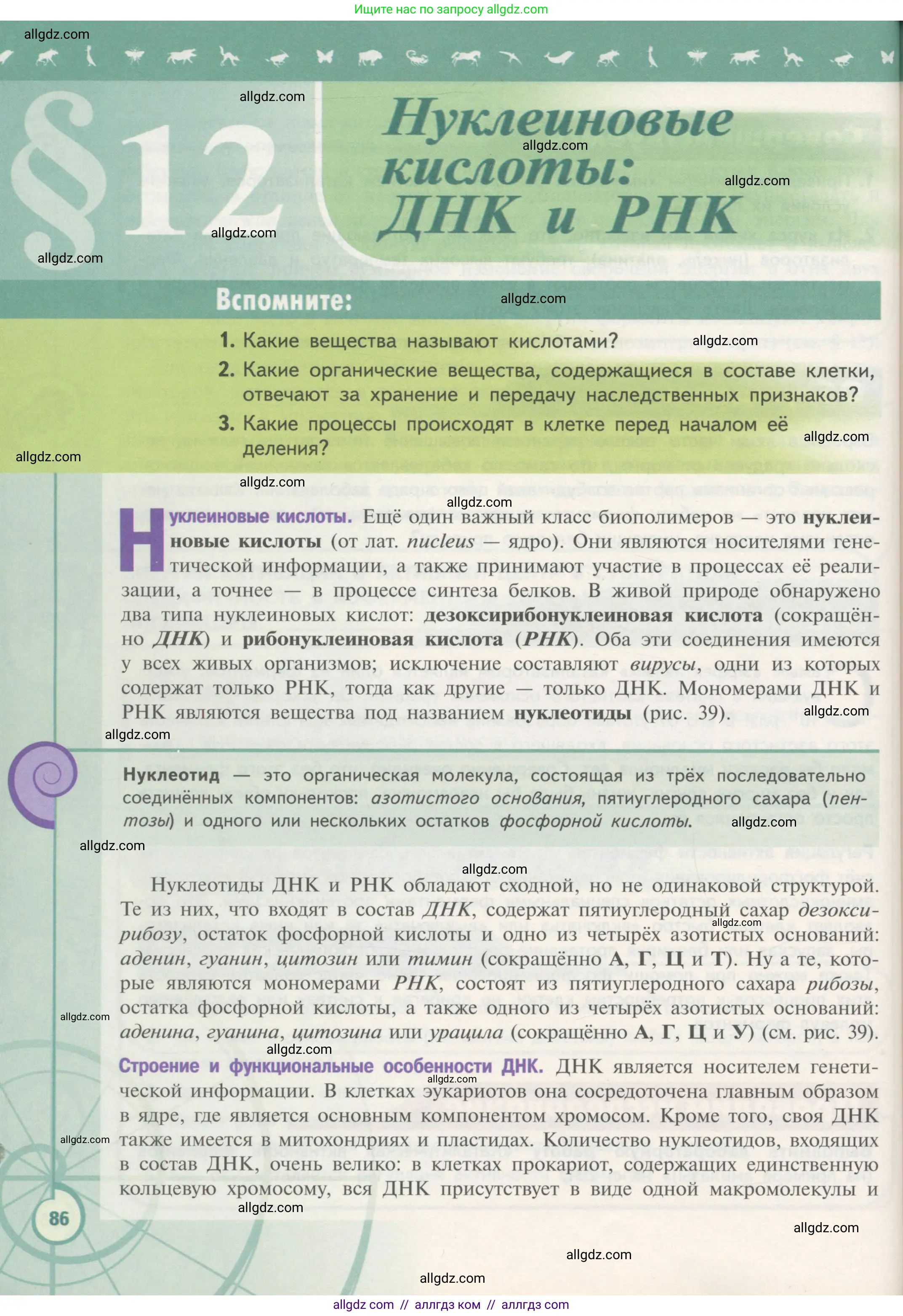 Биология, 10 класс Учебник, авторы: Пасечник Владимир Васильевич, Каменский Андрей Александрович, Рубцов Александр Михайлович, Швецов Глеб Геннадьевич, Гапонюк Зоя Георгиевна, издательство Просвещение, Москва, 2018, зелёного цвета, страница 86