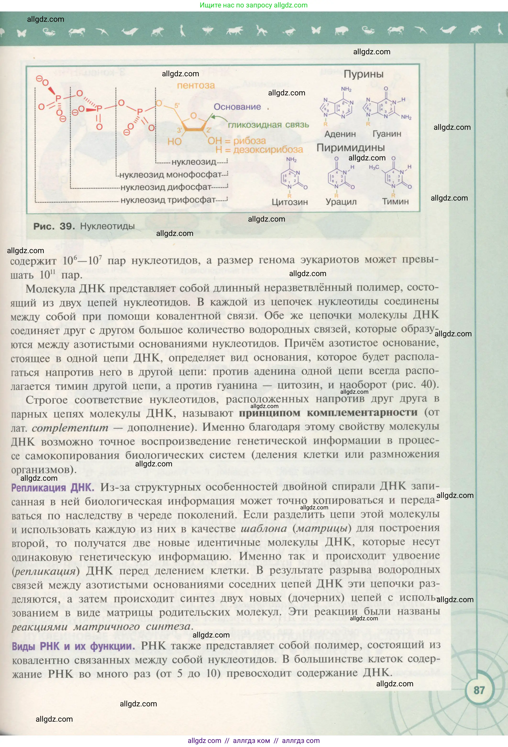 Биология, 10 класс Учебник, авторы: Пасечник Владимир Васильевич, Каменский Андрей Александрович, Рубцов Александр Михайлович, Швецов Глеб Геннадьевич, Гапонюк Зоя Георгиевна, издательство Просвещение, Москва, 2018, зелёного цвета, страница 87