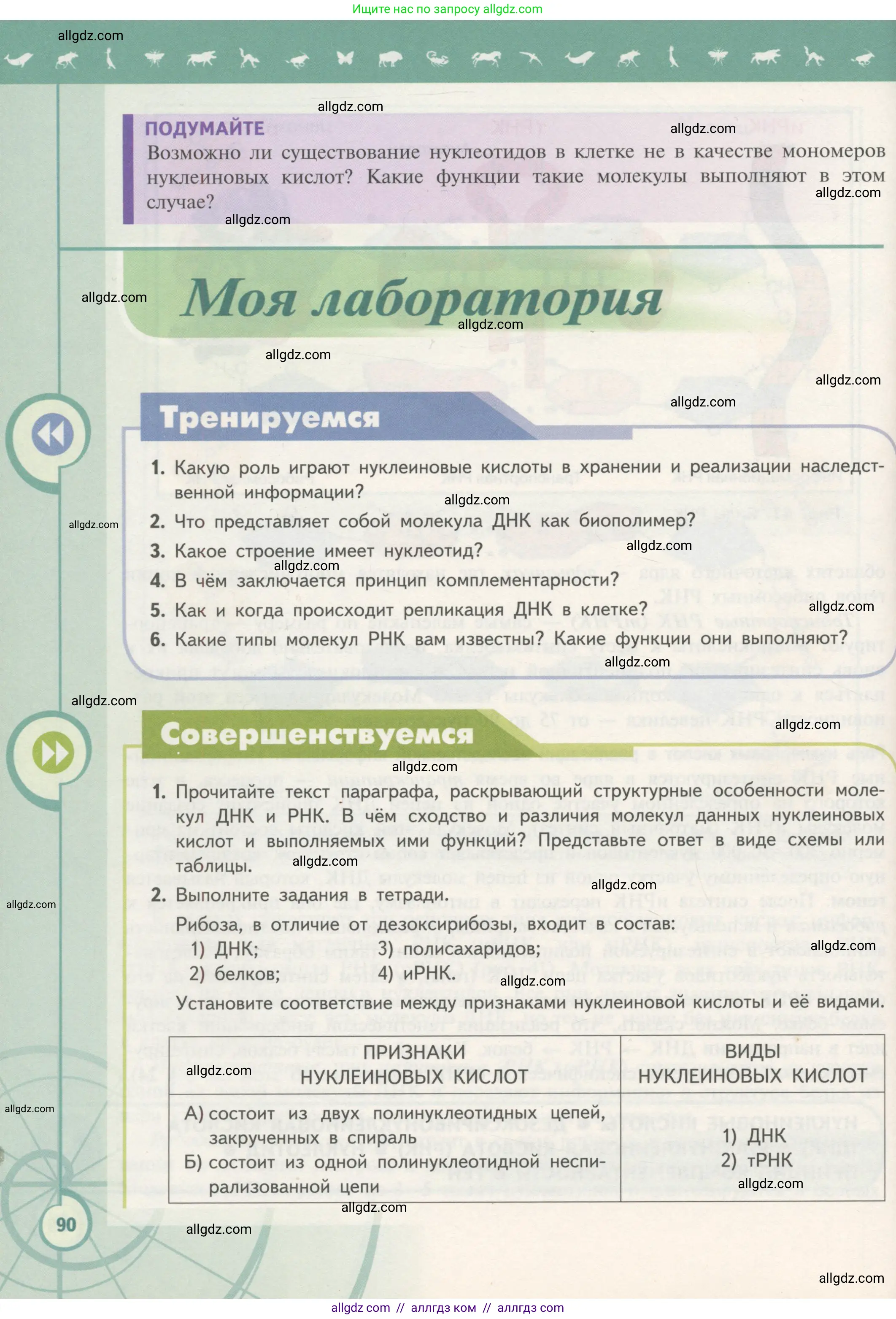 Биология, 10 класс Учебник, авторы: Пасечник Владимир Васильевич, Каменский Андрей Александрович, Рубцов Александр Михайлович, Швецов Глеб Геннадьевич, Гапонюк Зоя Георгиевна, издательство Просвещение, Москва, 2018, зелёного цвета, страница 90