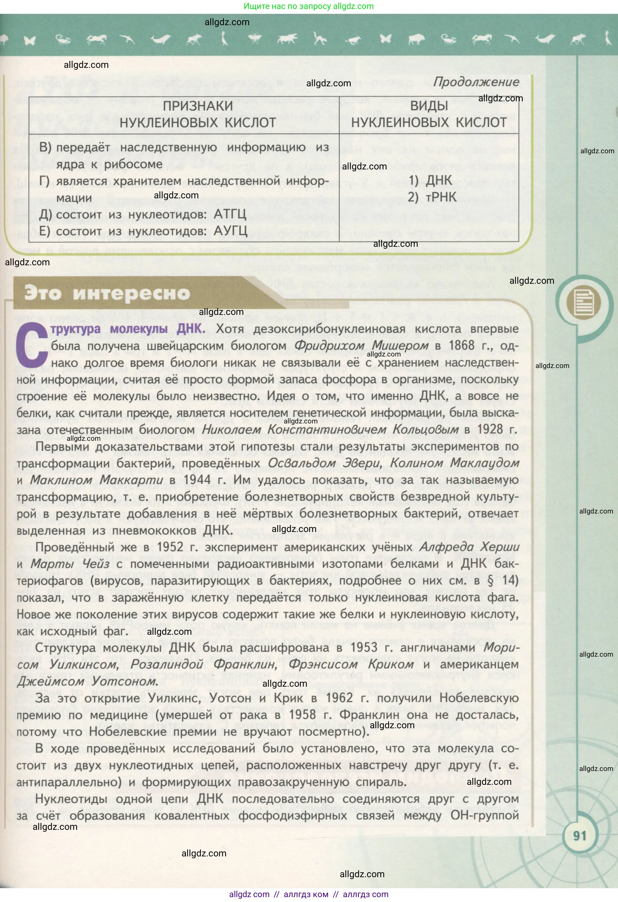 Биология, 10 класс Учебник, авторы: Пасечник Владимир Васильевич, Каменский Андрей Александрович, Рубцов Александр Михайлович, Швецов Глеб Геннадьевич, Гапонюк Зоя Георгиевна, издательство Просвещение, Москва, 2018, зелёного цвета, страница 91