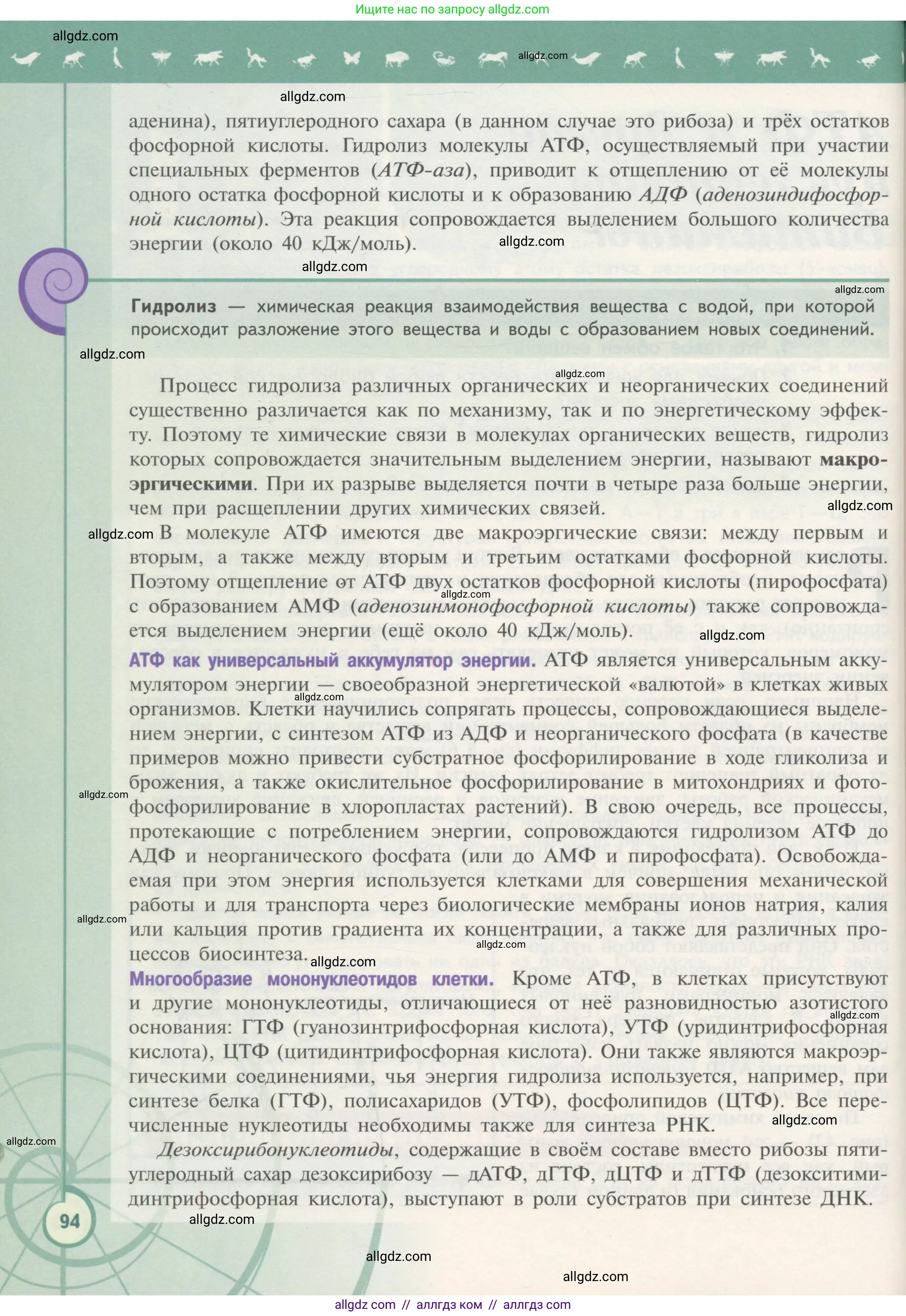 Биология, 10 класс Учебник, авторы: Пасечник Владимир Васильевич, Каменский Андрей Александрович, Рубцов Александр Михайлович, Швецов Глеб Геннадьевич, Гапонюк Зоя Георгиевна, издательство Просвещение, Москва, 2018, зелёного цвета, страница 94