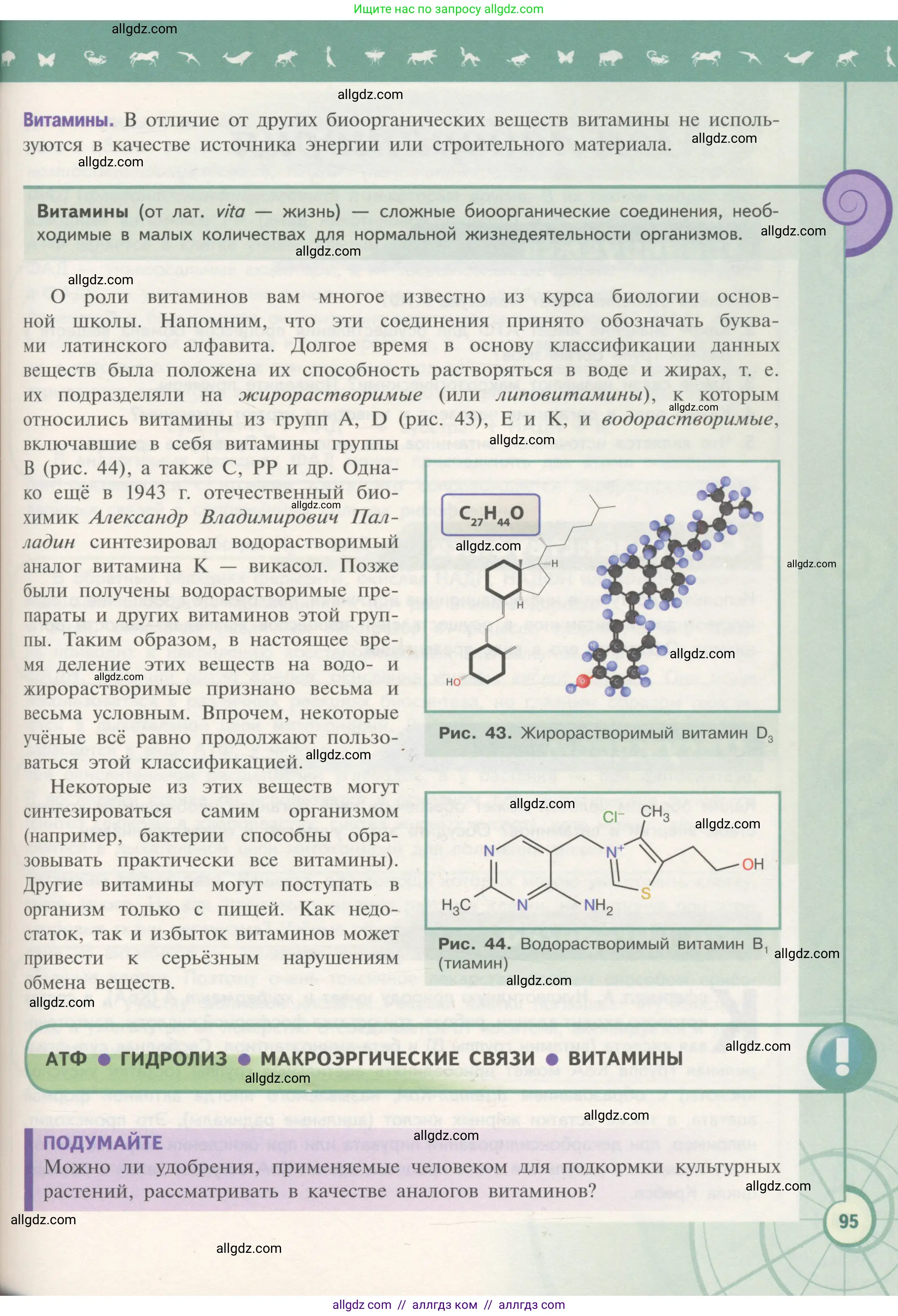 Биология, 10 класс Учебник, авторы: Пасечник Владимир Васильевич, Каменский Андрей Александрович, Рубцов Александр Михайлович, Швецов Глеб Геннадьевич, Гапонюк Зоя Георгиевна, издательство Просвещение, Москва, 2018, зелёного цвета, страница 95