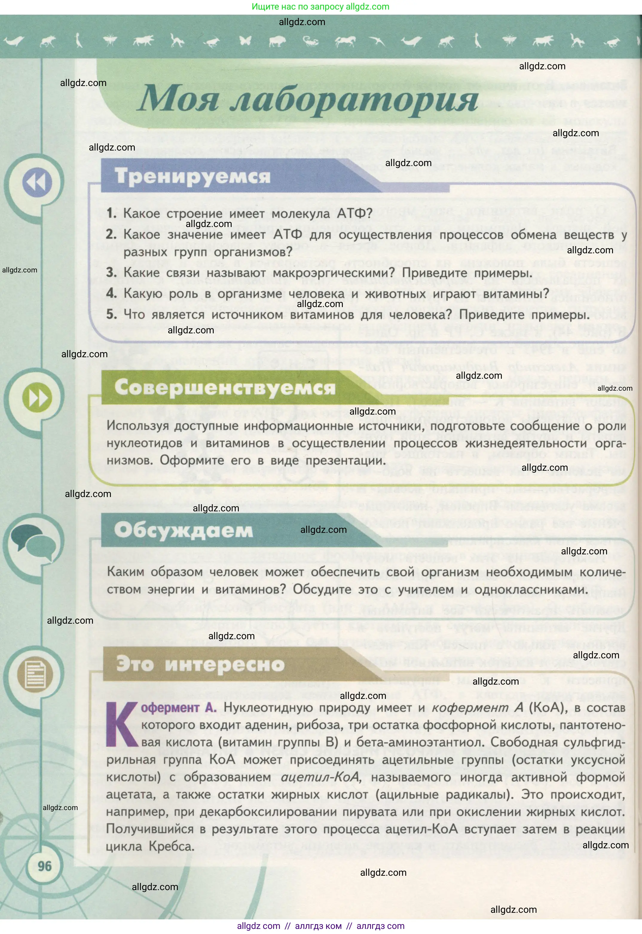 Биология, 10 класс Учебник, авторы: Пасечник Владимир Васильевич, Каменский Андрей Александрович, Рубцов Александр Михайлович, Швецов Глеб Геннадьевич, Гапонюк Зоя Георгиевна, издательство Просвещение, Москва, 2018, зелёного цвета, страница 96