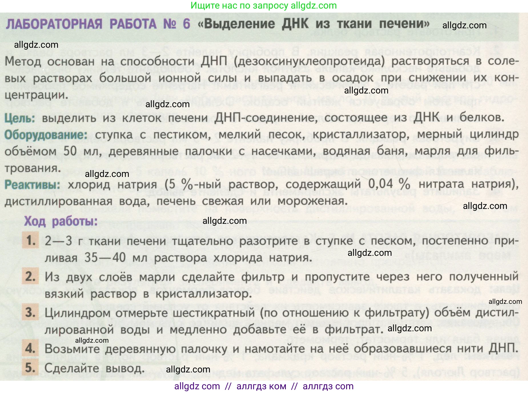 Биология, 10 класс Учебник, авторы: Пасечник Владимир Васильевич, Каменский Андрей Александрович, Рубцов Александр Михайлович, Швецов Глеб Геннадьевич, Гапонюк Зоя Георгиевна, издательство Просвещение, Москва, 2018, зелёного цвета, страница 92, Условие (продолжение 2)