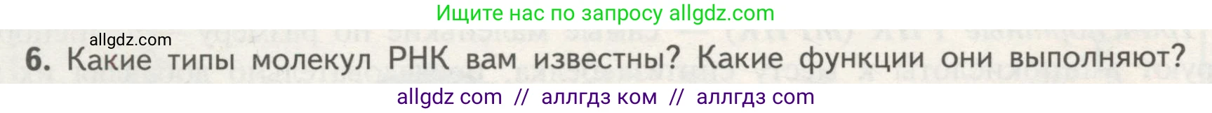 Биология, 10 класс Учебник, авторы: Пасечник Владимир Васильевич, Каменский Андрей Александрович, Рубцов Александр Михайлович, Швецов Глеб Геннадьевич, Гапонюк Зоя Георгиевна, издательство Просвещение, Москва, 2018, зелёного цвета, страница 90, номер 6, Условие