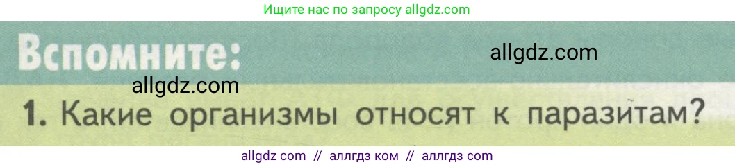 Биология, 10 класс Учебник, авторы: Пасечник Владимир Васильевич, Каменский Андрей Александрович, Рубцов Александр Михайлович, Швецов Глеб Геннадьевич, Гапонюк Зоя Георгиевна, издательство Просвещение, Москва, 2018, зелёного цвета, страница 98, номер 1, Условие
