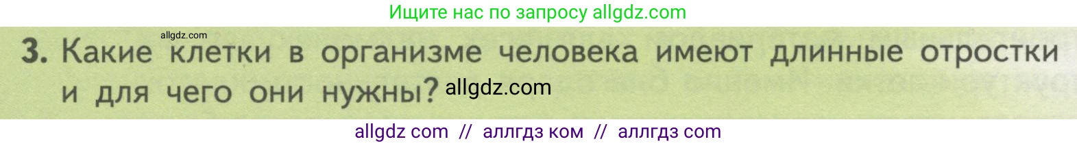 Биология, 10 класс Учебник, авторы: Пасечник Владимир Васильевич, Каменский Андрей Александрович, Рубцов Александр Михайлович, Швецов Глеб Геннадьевич, Гапонюк Зоя Георгиевна, издательство Просвещение, Москва, 2018, зелёного цвета, страница 110, номер 3, Условие