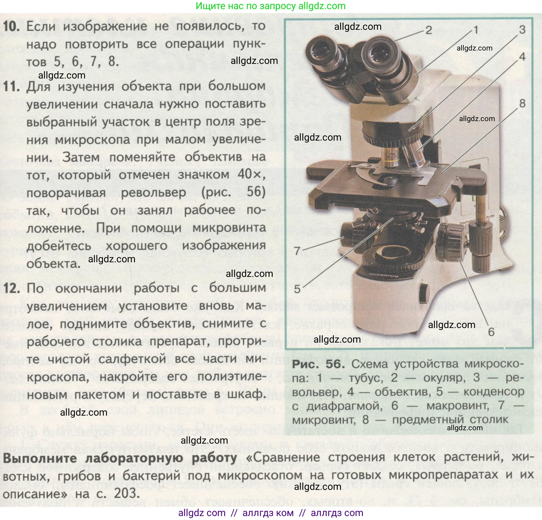 Биология, 10 класс Учебник, авторы: Пасечник Владимир Васильевич, Каменский Андрей Александрович, Рубцов Александр Михайлович, Швецов Глеб Геннадьевич, Гапонюк Зоя Георгиевна, издательство Просвещение, Москва, 2018, зелёного цвета, страница 116, Условие (продолжение 2)