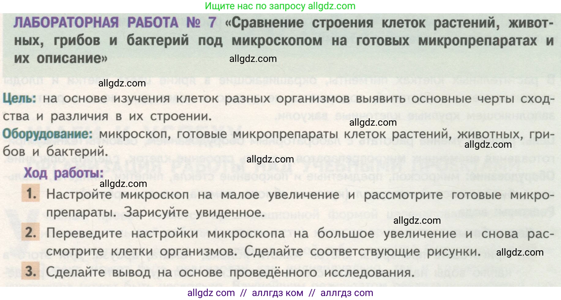 Биология, 10 класс Учебник, авторы: Пасечник Владимир Васильевич, Каменский Андрей Александрович, Рубцов Александр Михайлович, Швецов Глеб Геннадьевич, Гапонюк Зоя Георгиевна, издательство Просвещение, Москва, 2018, зелёного цвета, страница 116, Условие (продолжение 3)