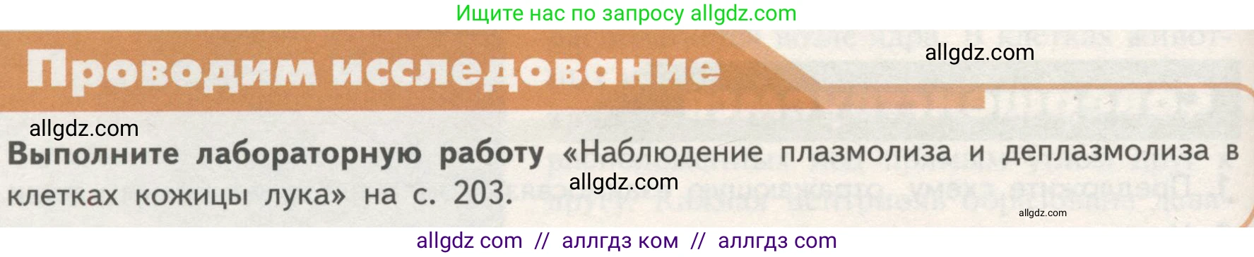 Биология, 10 класс Учебник, авторы: Пасечник Владимир Васильевич, Каменский Андрей Александрович, Рубцов Александр Михайлович, Швецов Глеб Геннадьевич, Гапонюк Зоя Георгиевна, издательство Просвещение, Москва, 2018, зелёного цвета, страница 124, Условие