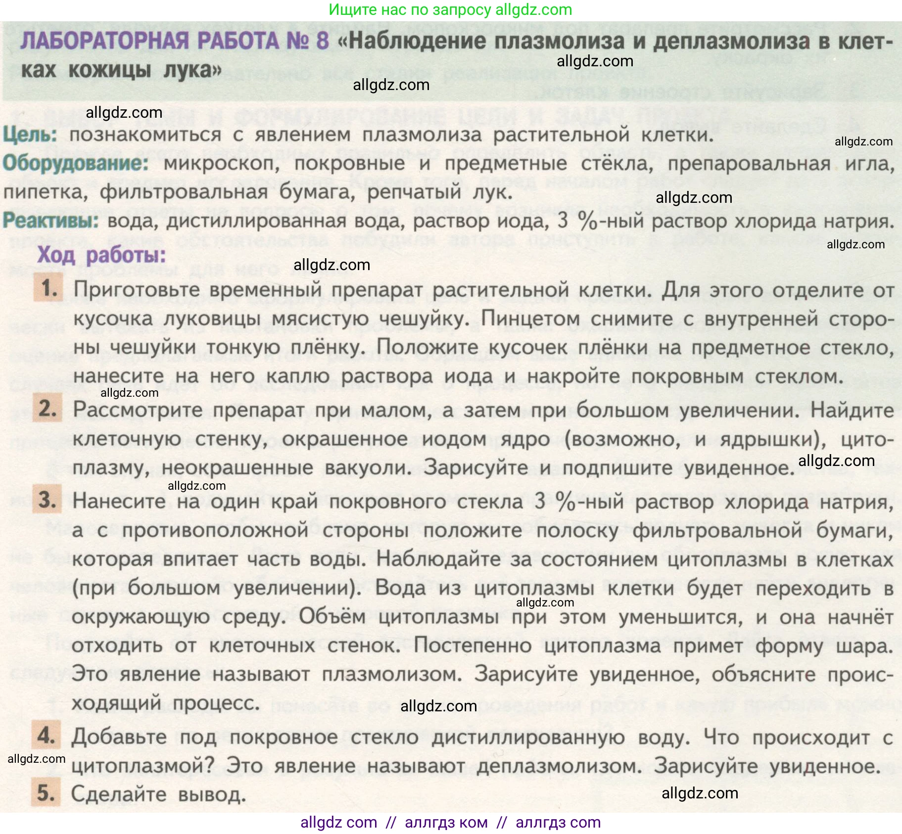 Биология, 10 класс Учебник, авторы: Пасечник Владимир Васильевич, Каменский Андрей Александрович, Рубцов Александр Михайлович, Швецов Глеб Геннадьевич, Гапонюк Зоя Георгиевна, издательство Просвещение, Москва, 2018, зелёного цвета, страница 124, Условие (продолжение 2)