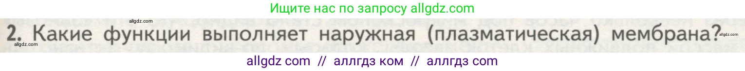 Биология, 10 класс Учебник, авторы: Пасечник Владимир Васильевич, Каменский Андрей Александрович, Рубцов Александр Михайлович, Швецов Глеб Геннадьевич, Гапонюк Зоя Георгиевна, издательство Просвещение, Москва, 2018, зелёного цвета, страница 123, номер 2, Условие