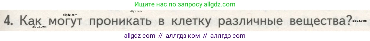 Биология, 10 класс Учебник, авторы: Пасечник Владимир Васильевич, Каменский Андрей Александрович, Рубцов Александр Михайлович, Швецов Глеб Геннадьевич, Гапонюк Зоя Георгиевна, издательство Просвещение, Москва, 2018, зелёного цвета, страница 123, номер 4, Условие