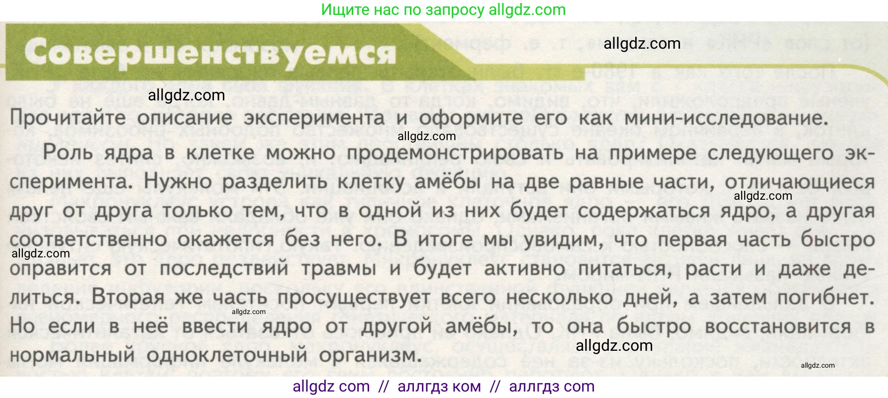 Биология, 10 класс Учебник, авторы: Пасечник Владимир Васильевич, Каменский Андрей Александрович, Рубцов Александр Михайлович, Швецов Глеб Геннадьевич, Гапонюк Зоя Георгиевна, издательство Просвещение, Москва, 2018, зелёного цвета, страница 129, Условие