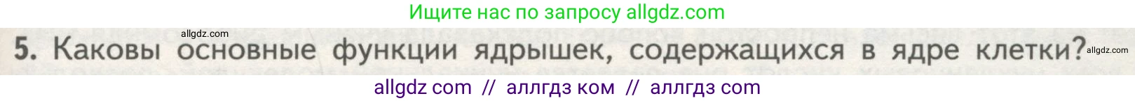 Биология, 10 класс Учебник, авторы: Пасечник Владимир Васильевич, Каменский Андрей Александрович, Рубцов Александр Михайлович, Швецов Глеб Геннадьевич, Гапонюк Зоя Георгиевна, издательство Просвещение, Москва, 2018, зелёного цвета, страница 129, номер 5, Условие