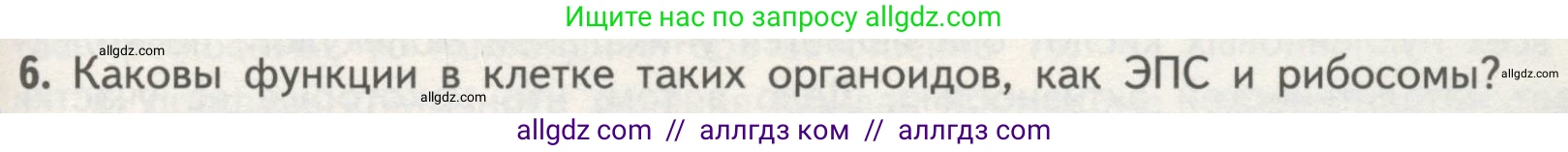 Биология, 10 класс Учебник, авторы: Пасечник Владимир Васильевич, Каменский Андрей Александрович, Рубцов Александр Михайлович, Швецов Глеб Геннадьевич, Гапонюк Зоя Георгиевна, издательство Просвещение, Москва, 2018, зелёного цвета, страница 129, номер 6, Условие