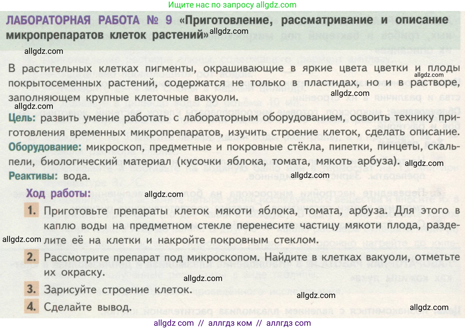 Биология, 10 класс Учебник, авторы: Пасечник Владимир Васильевич, Каменский Андрей Александрович, Рубцов Александр Михайлович, Швецов Глеб Геннадьевич, Гапонюк Зоя Георгиевна, издательство Просвещение, Москва, 2018, зелёного цвета, страница 136, Условие (продолжение 2)