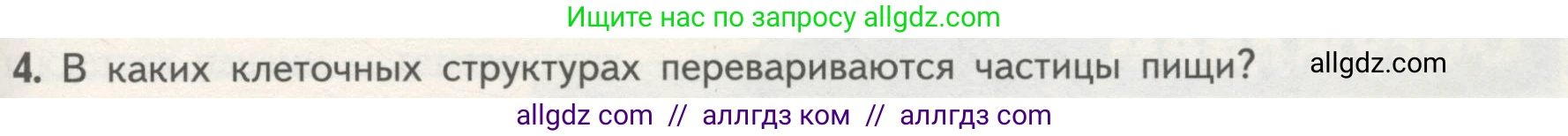 Биология, 10 класс Учебник, авторы: Пасечник Владимир Васильевич, Каменский Андрей Александрович, Рубцов Александр Михайлович, Швецов Глеб Геннадьевич, Гапонюк Зоя Георгиевна, издательство Просвещение, Москва, 2018, зелёного цвета, страница 135, номер 4, Условие