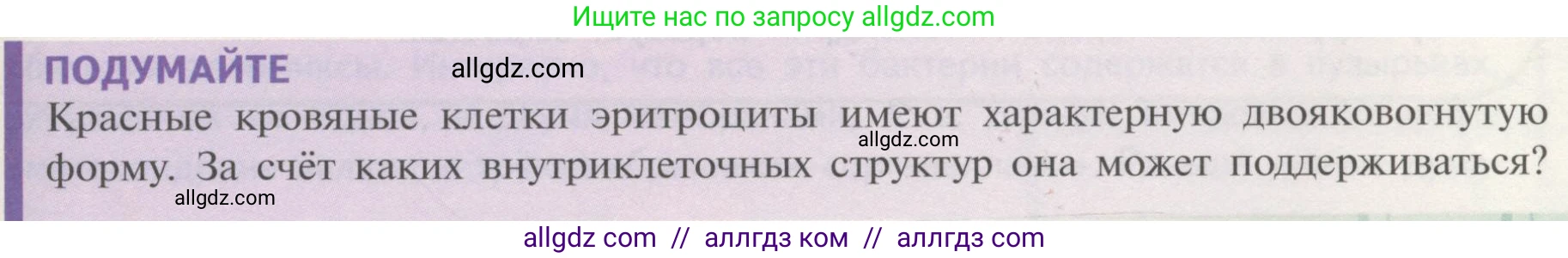 Биология, 10 класс Учебник, авторы: Пасечник Владимир Васильевич, Каменский Андрей Александрович, Рубцов Александр Михайлович, Швецов Глеб Геннадьевич, Гапонюк Зоя Георгиевна, издательство Просвещение, Москва, 2018, зелёного цвета, страница 139, Условие