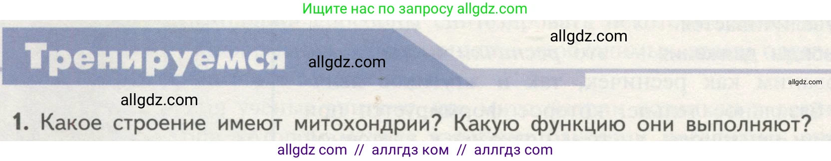 Биология, 10 класс Учебник, авторы: Пасечник Владимир Васильевич, Каменский Андрей Александрович, Рубцов Александр Михайлович, Швецов Глеб Геннадьевич, Гапонюк Зоя Георгиевна, издательство Просвещение, Москва, 2018, зелёного цвета, страница 140, номер 1, Условие
