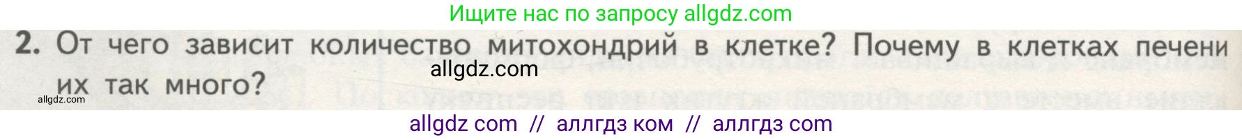 Биология, 10 класс Учебник, авторы: Пасечник Владимир Васильевич, Каменский Андрей Александрович, Рубцов Александр Михайлович, Швецов Глеб Геннадьевич, Гапонюк Зоя Георгиевна, издательство Просвещение, Москва, 2018, зелёного цвета, страница 140, номер 2, Условие