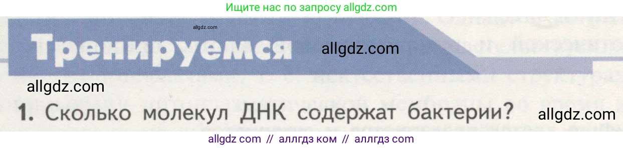 Биология, 10 класс Учебник, авторы: Пасечник Владимир Васильевич, Каменский Андрей Александрович, Рубцов Александр Михайлович, Швецов Глеб Геннадьевич, Гапонюк Зоя Георгиевна, издательство Просвещение, Москва, 2018, зелёного цвета, страница 146, номер 1, Условие