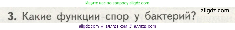 Биология, 10 класс Учебник, авторы: Пасечник Владимир Васильевич, Каменский Андрей Александрович, Рубцов Александр Михайлович, Швецов Глеб Геннадьевич, Гапонюк Зоя Георгиевна, издательство Просвещение, Москва, 2018, зелёного цвета, страница 146, номер 3, Условие