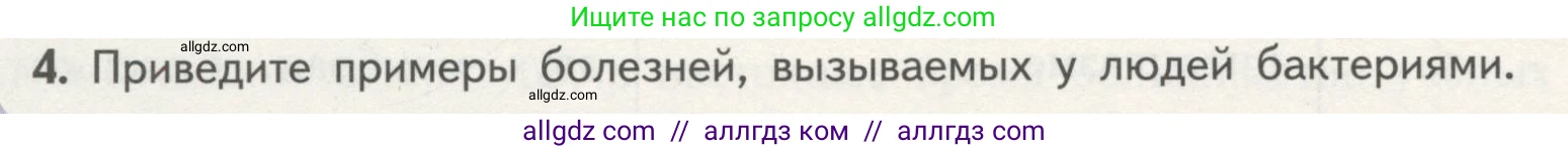 Биология, 10 класс Учебник, авторы: Пасечник Владимир Васильевич, Каменский Андрей Александрович, Рубцов Александр Михайлович, Швецов Глеб Геннадьевич, Гапонюк Зоя Георгиевна, издательство Просвещение, Москва, 2018, зелёного цвета, страница 146, номер 4, Условие