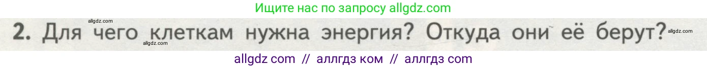Биология, 10 класс Учебник, авторы: Пасечник Владимир Васильевич, Каменский Андрей Александрович, Рубцов Александр Михайлович, Швецов Глеб Геннадьевич, Гапонюк Зоя Георгиевна, издательство Просвещение, Москва, 2018, зелёного цвета, страница 152, номер 2, Условие