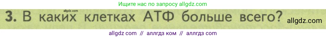 Биология, 10 класс Учебник, авторы: Пасечник Владимир Васильевич, Каменский Андрей Александрович, Рубцов Александр Михайлович, Швецов Глеб Геннадьевич, Гапонюк Зоя Георгиевна, издательство Просвещение, Москва, 2018, зелёного цвета, страница 154, номер 3, Условие