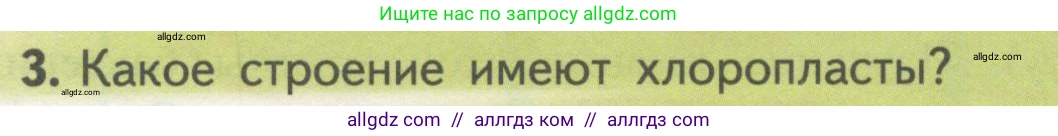 Биология, 10 класс Учебник, авторы: Пасечник Владимир Васильевич, Каменский Андрей Александрович, Рубцов Александр Михайлович, Швецов Глеб Геннадьевич, Гапонюк Зоя Георгиевна, издательство Просвещение, Москва, 2018, зелёного цвета, страница 161, номер 3, Условие