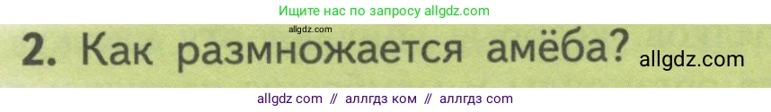 Биология, 10 класс Учебник, авторы: Пасечник Владимир Васильевич, Каменский Андрей Александрович, Рубцов Александр Михайлович, Швецов Глеб Геннадьевич, Гапонюк Зоя Георгиевна, издательство Просвещение, Москва, 2018, зелёного цвета, страница 183, номер 2, Условие