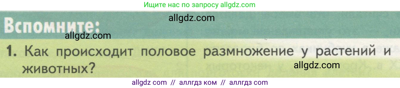 Биология, 10 класс Учебник, авторы: Пасечник Владимир Васильевич, Каменский Андрей Александрович, Рубцов Александр Михайлович, Швецов Глеб Геннадьевич, Гапонюк Зоя Георгиевна, издательство Просвещение, Москва, 2018, зелёного цвета, страница 190, номер 1, Условие