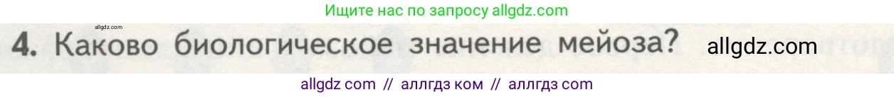 Биология, 10 класс Учебник, авторы: Пасечник Владимир Васильевич, Каменский Андрей Александрович, Рубцов Александр Михайлович, Швецов Глеб Геннадьевич, Гапонюк Зоя Георгиевна, издательство Просвещение, Москва, 2018, зелёного цвета, страница 196, номер 4, Условие