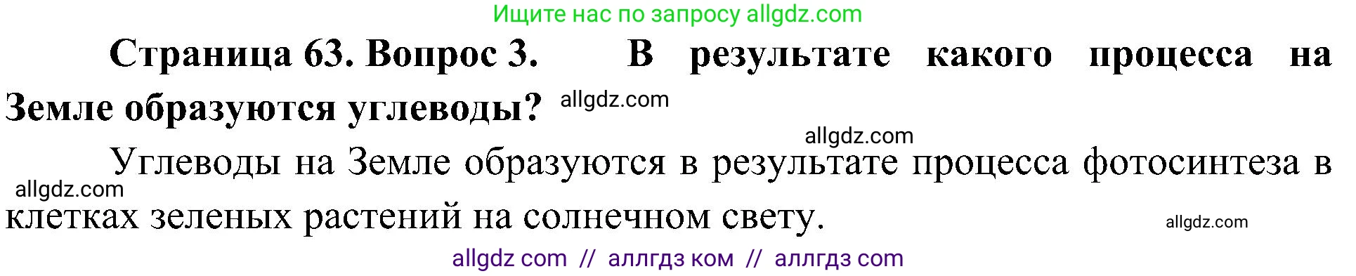 Биология, 10 класс Учебник, авторы: Пасечник Владимир Васильевич, Каменский Андрей Александрович, Рубцов Александр Михайлович, Швецов Глеб Геннадьевич, Гапонюк Зоя Георгиевна, издательство Просвещение, Москва, 2018, зелёного цвета, страница 63, номер 3, Решение