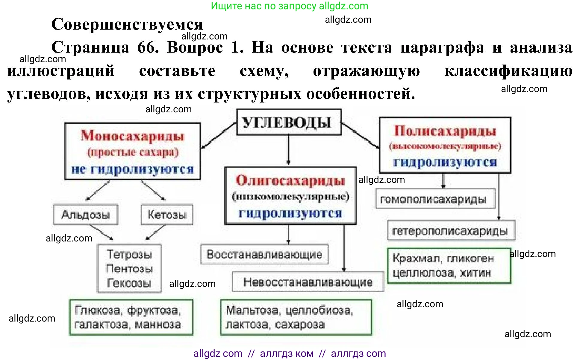 Биология, 10 класс Учебник, авторы: Пасечник Владимир Васильевич, Каменский Андрей Александрович, Рубцов Александр Михайлович, Швецов Глеб Геннадьевич, Гапонюк Зоя Георгиевна, издательство Просвещение, Москва, 2018, зелёного цвета, страница 66, номер 1, Решение