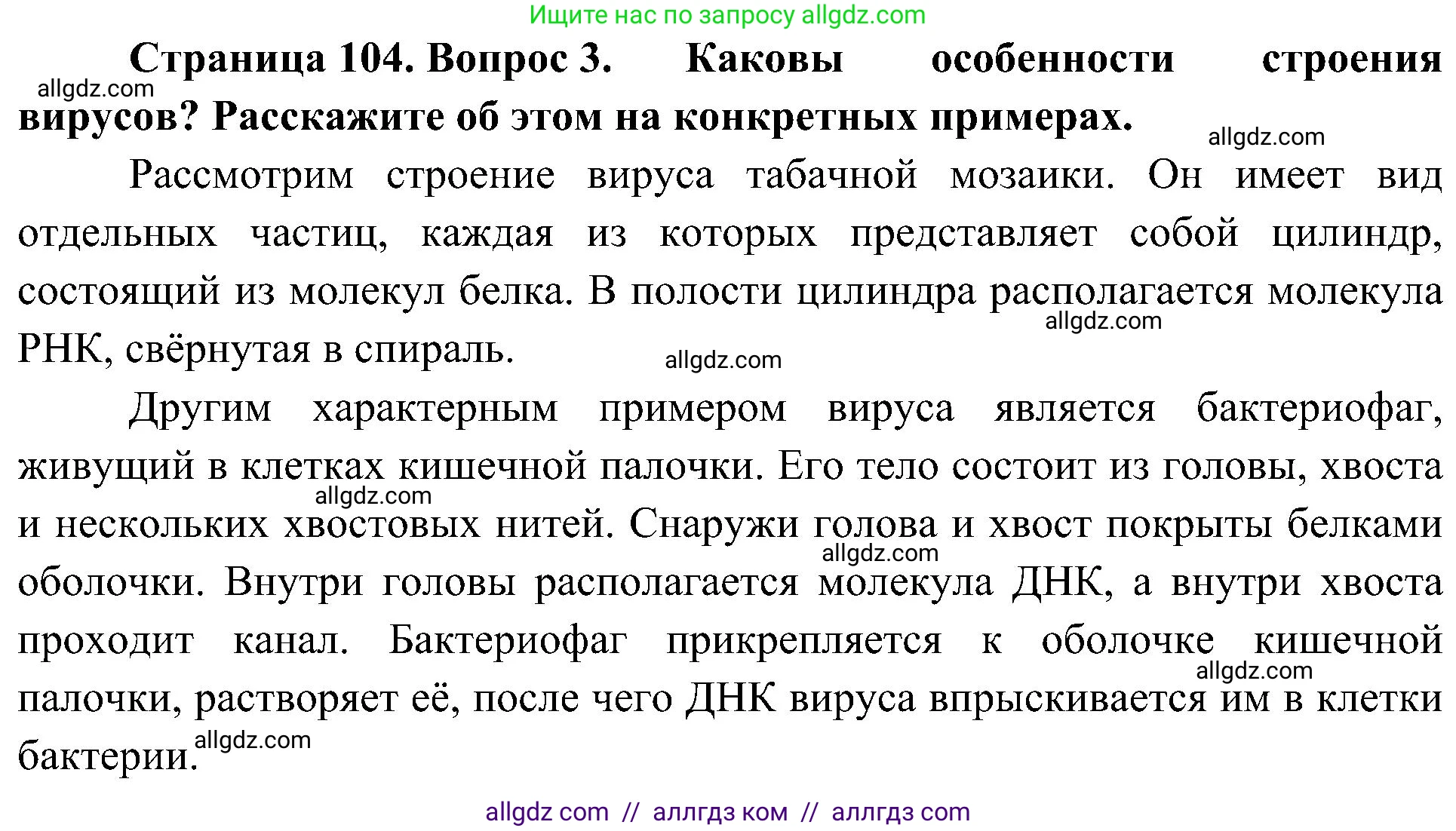 Биология, 10 класс Учебник, авторы: Пасечник Владимир Васильевич, Каменский Андрей Александрович, Рубцов Александр Михайлович, Швецов Глеб Геннадьевич, Гапонюк Зоя Георгиевна, издательство Просвещение, Москва, 2018, зелёного цвета, страница 104, номер 3, Решение