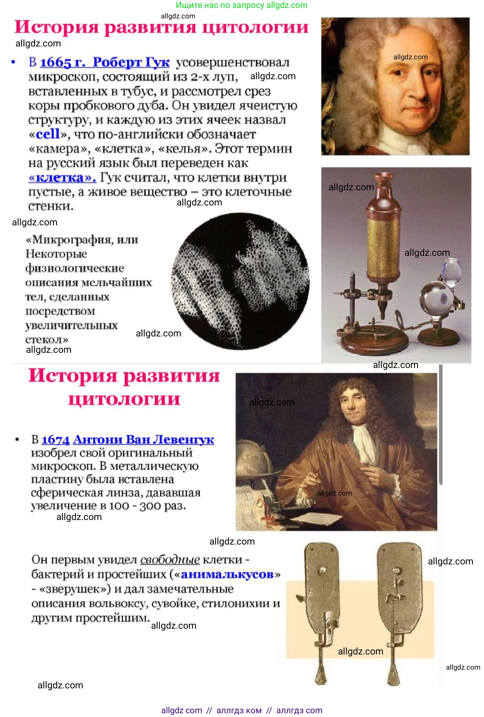 Биология, 10 класс Учебник, авторы: Пасечник Владимир Васильевич, Каменский Андрей Александрович, Рубцов Александр Михайлович, Швецов Глеб Геннадьевич, Гапонюк Зоя Георгиевна, издательство Просвещение, Москва, 2018, зелёного цвета, страница 114, номер 4, Решение