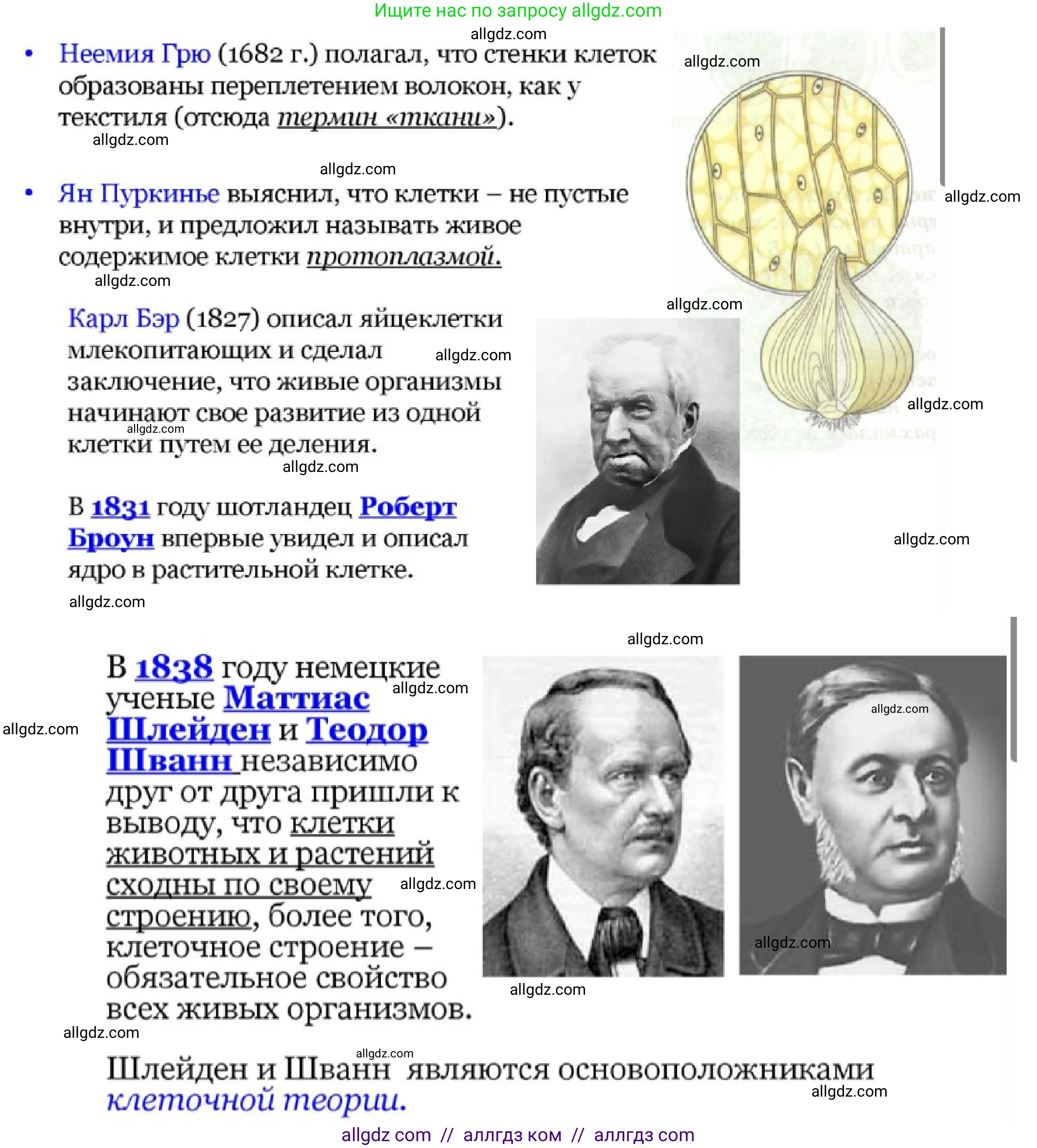 Биология, 10 класс Учебник, авторы: Пасечник Владимир Васильевич, Каменский Андрей Александрович, Рубцов Александр Михайлович, Швецов Глеб Геннадьевич, Гапонюк Зоя Георгиевна, издательство Просвещение, Москва, 2018, зелёного цвета, страница 114, номер 4, Решение (продолжение 2)