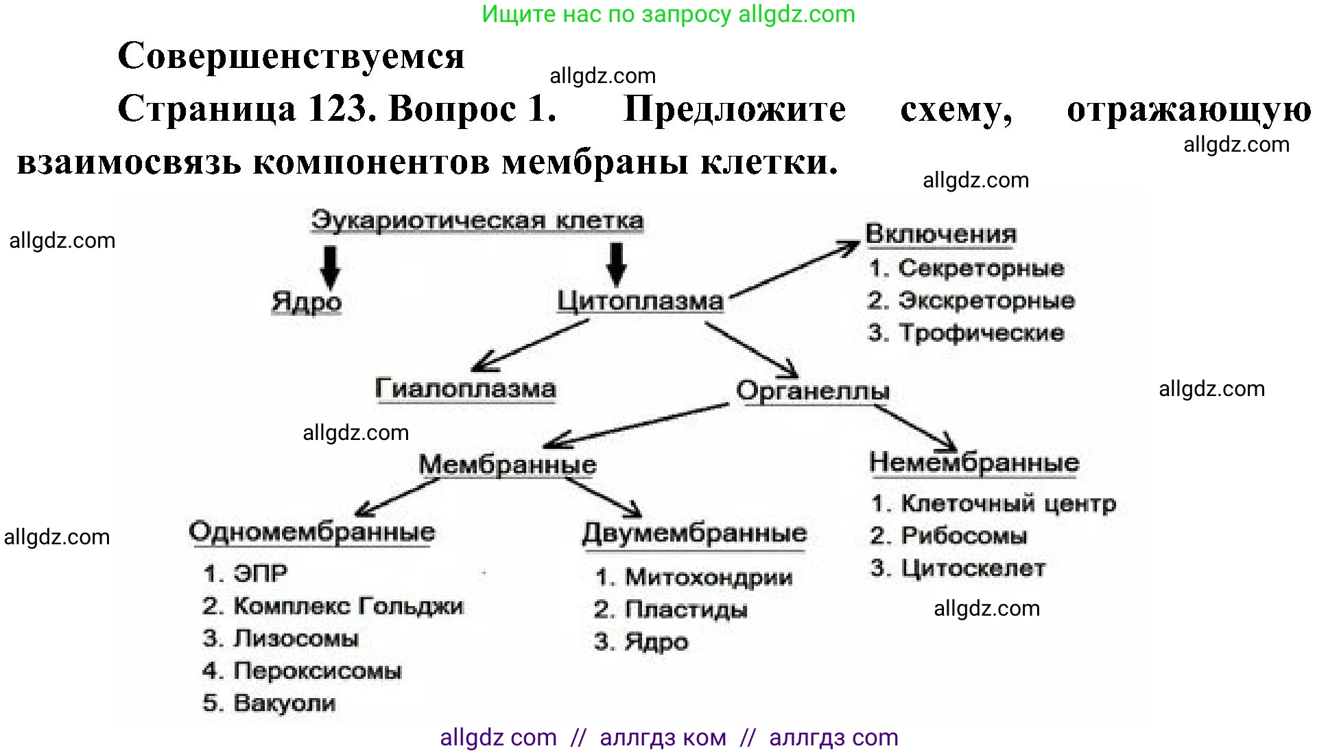 Биология, 10 класс Учебник, авторы: Пасечник Владимир Васильевич, Каменский Андрей Александрович, Рубцов Александр Михайлович, Швецов Глеб Геннадьевич, Гапонюк Зоя Георгиевна, издательство Просвещение, Москва, 2018, зелёного цвета, страница 123, номер 1, Решение