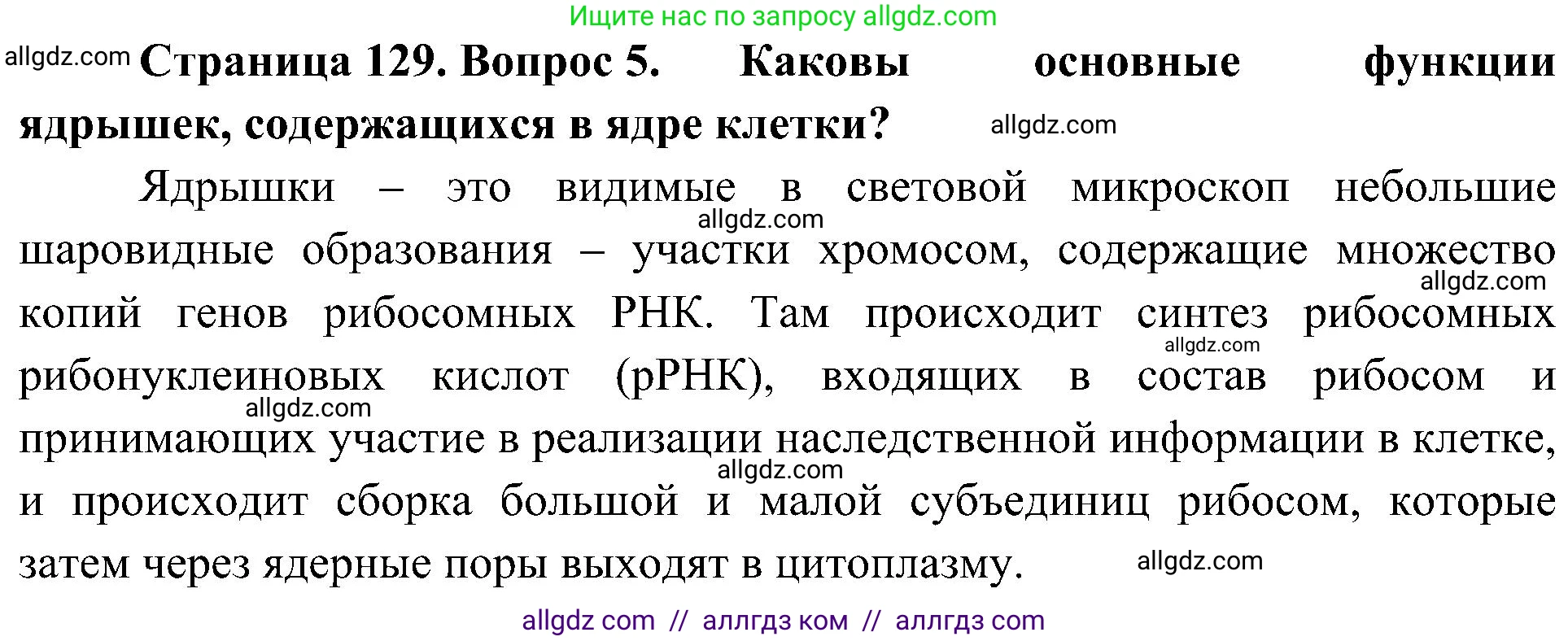 Биология, 10 класс Учебник, авторы: Пасечник Владимир Васильевич, Каменский Андрей Александрович, Рубцов Александр Михайлович, Швецов Глеб Геннадьевич, Гапонюк Зоя Георгиевна, издательство Просвещение, Москва, 2018, зелёного цвета, страница 129, номер 5, Решение