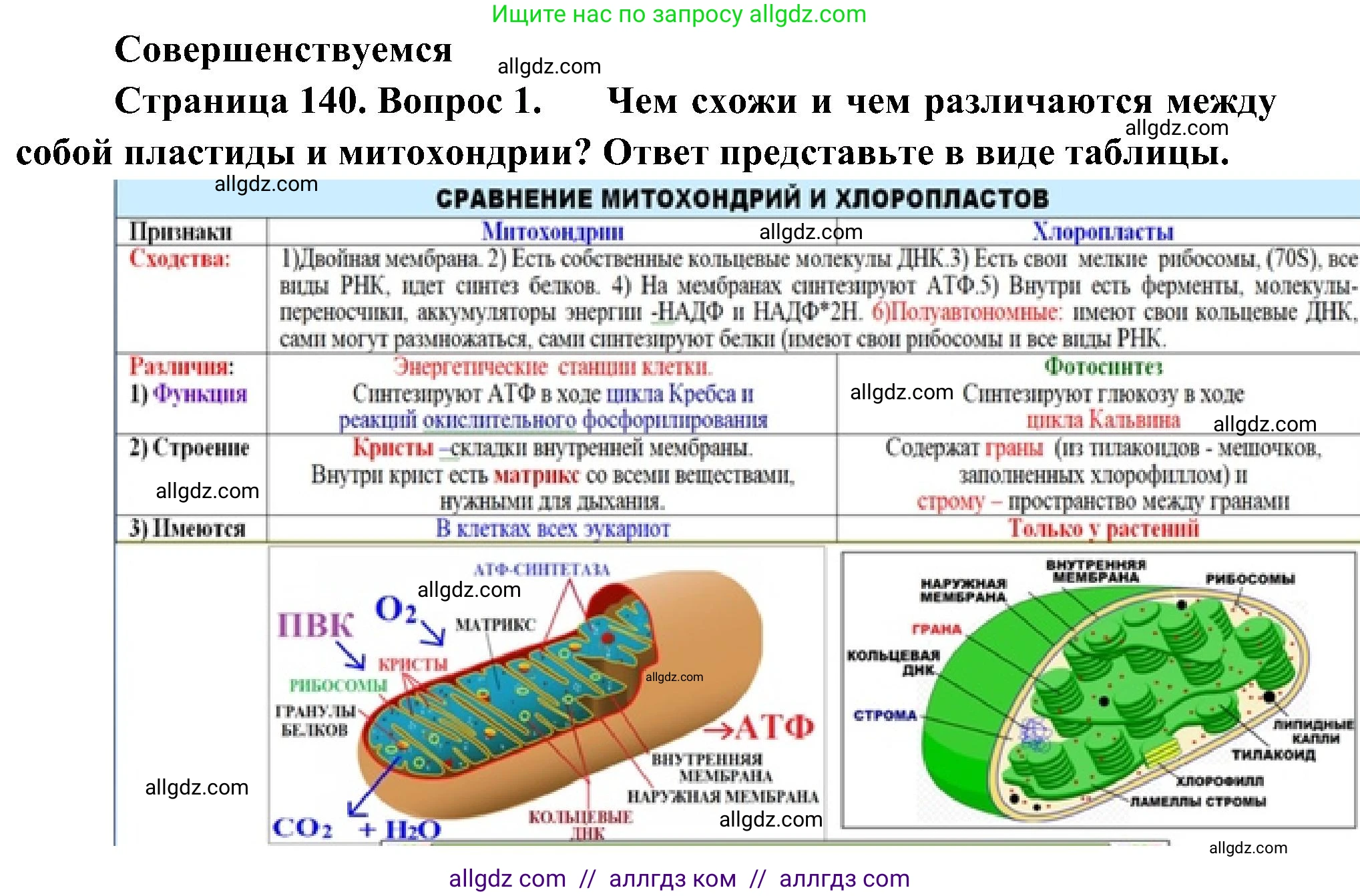 Биология, 10 класс Учебник, авторы: Пасечник Владимир Васильевич, Каменский Андрей Александрович, Рубцов Александр Михайлович, Швецов Глеб Геннадьевич, Гапонюк Зоя Георгиевна, издательство Просвещение, Москва, 2018, зелёного цвета, страница 140, номер 1, Решение