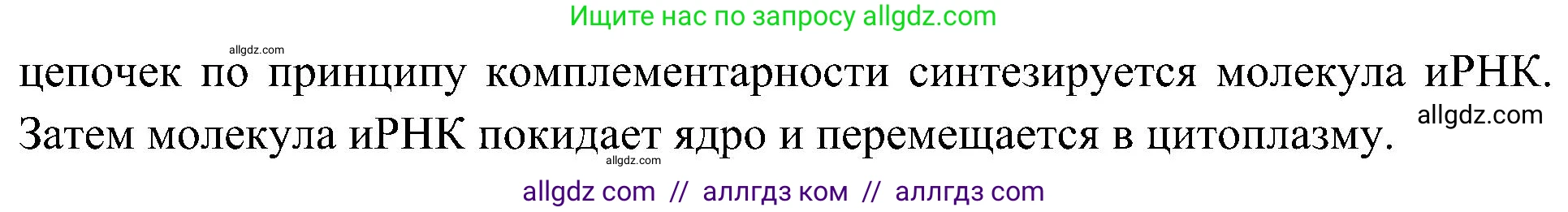 Биология, 10 класс Учебник, авторы: Пасечник Владимир Васильевич, Каменский Андрей Александрович, Рубцов Александр Михайлович, Швецов Глеб Геннадьевич, Гапонюк Зоя Георгиевна, издательство Просвещение, Москва, 2018, зелёного цвета, страница 177, номер 3, Решение (продолжение 2)