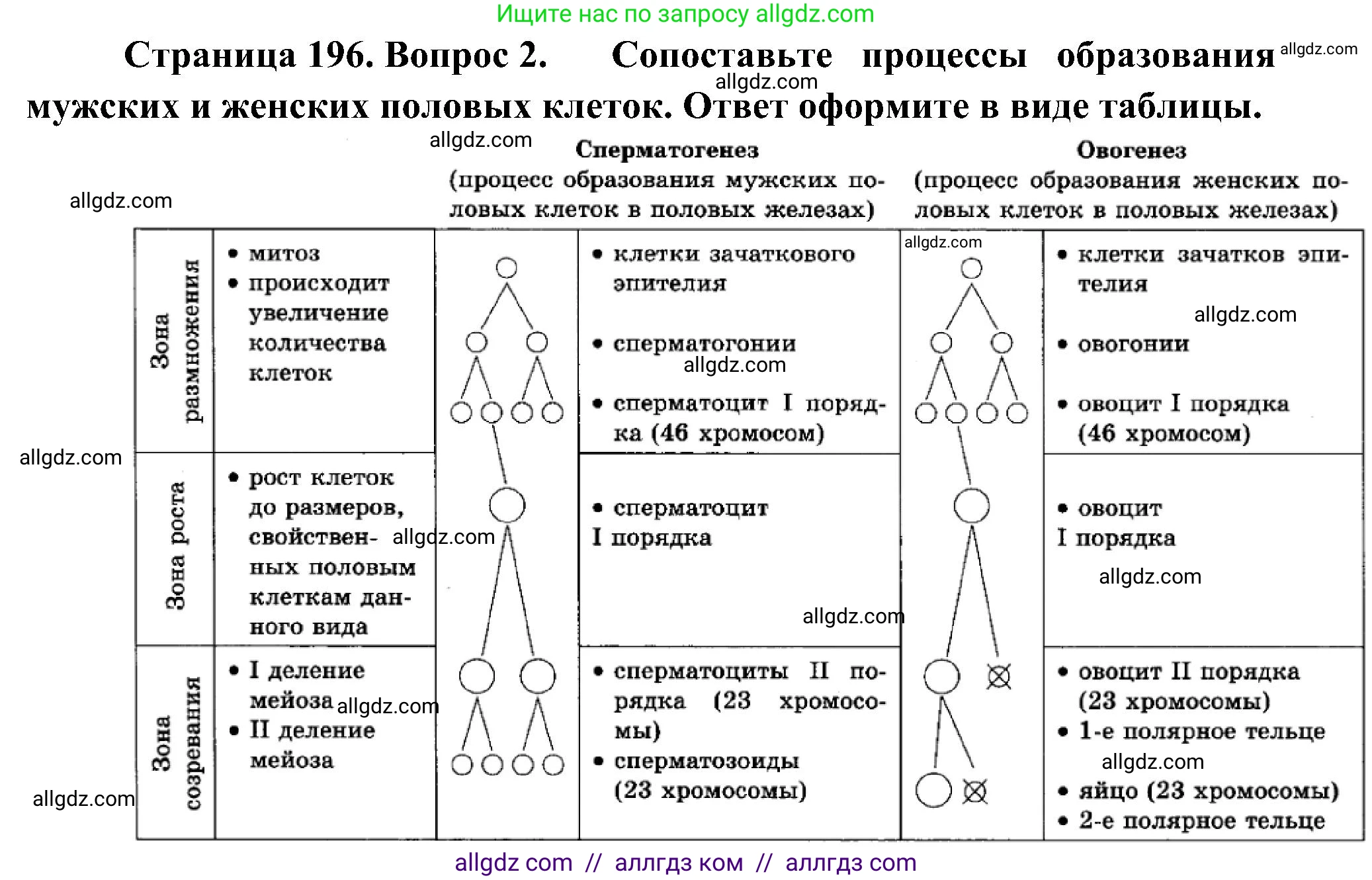Биология, 10 класс Учебник, авторы: Пасечник Владимир Васильевич, Каменский Андрей Александрович, Рубцов Александр Михайлович, Швецов Глеб Геннадьевич, Гапонюк Зоя Георгиевна, издательство Просвещение, Москва, 2018, зелёного цвета, страница 196, номер 2, Решение