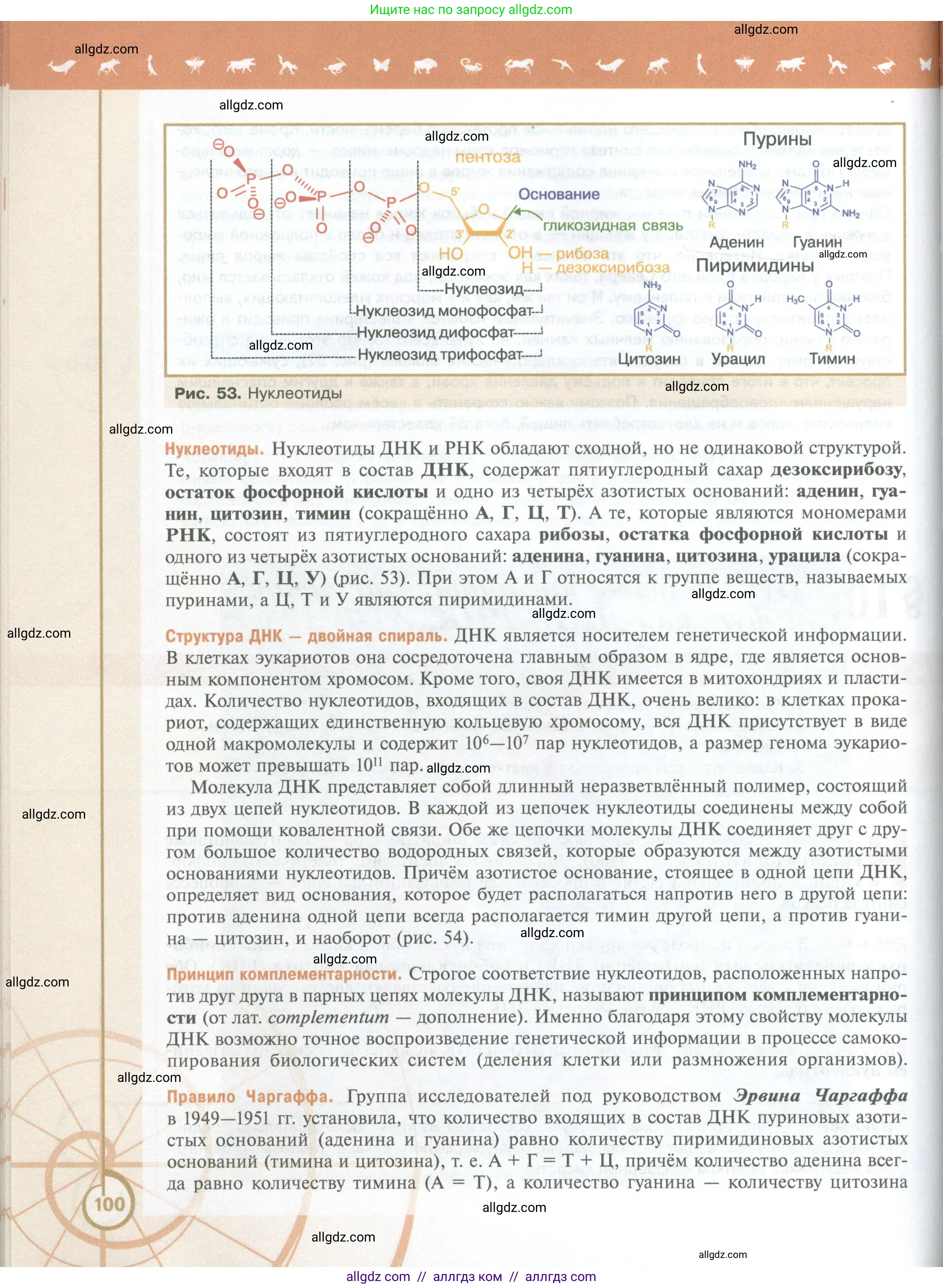 Биология, 10 класс Учебник, авторы: Пасечник Владимир Васильевич, Каменский Андрей Александрович, Рубцов Александр Михайлович, Швецов Глеб Геннадьевич, Абовян Леван Арташесович, Гапонюк Зоя Георгиевна, издательство Просвещение, Москва, 2024, коричневого цвета, страница 100
